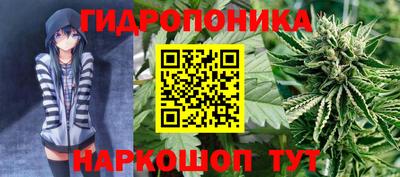 гидра Лесосибирск