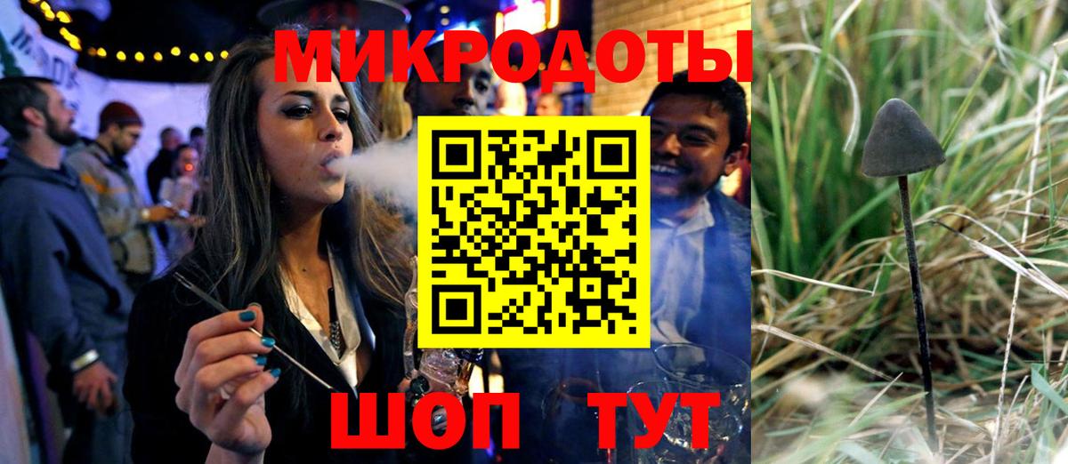 Псилоцибиновые грибы Psilocybine cubensis  Вход с VPN  Псилоцибиновые грибы прущие грибы  Калуга 